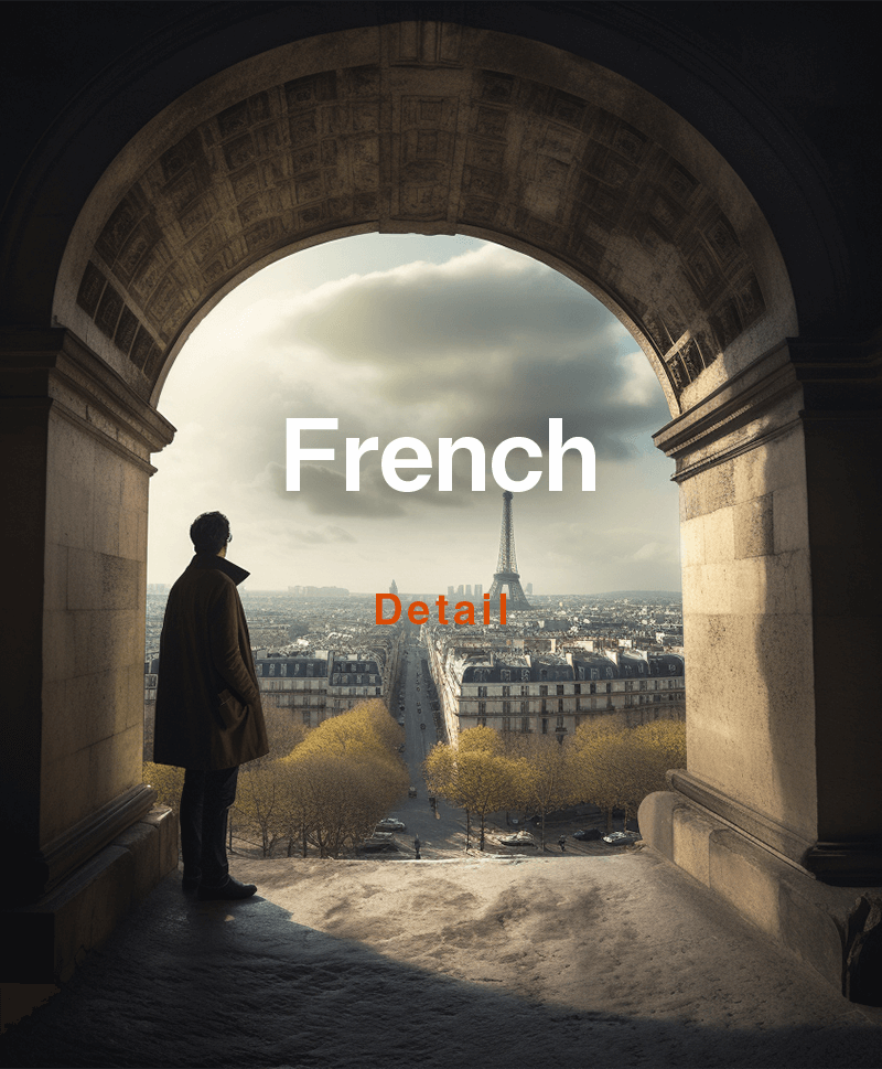 Man looking at the view of the Eiffel Tower in France, French language course Go to detail