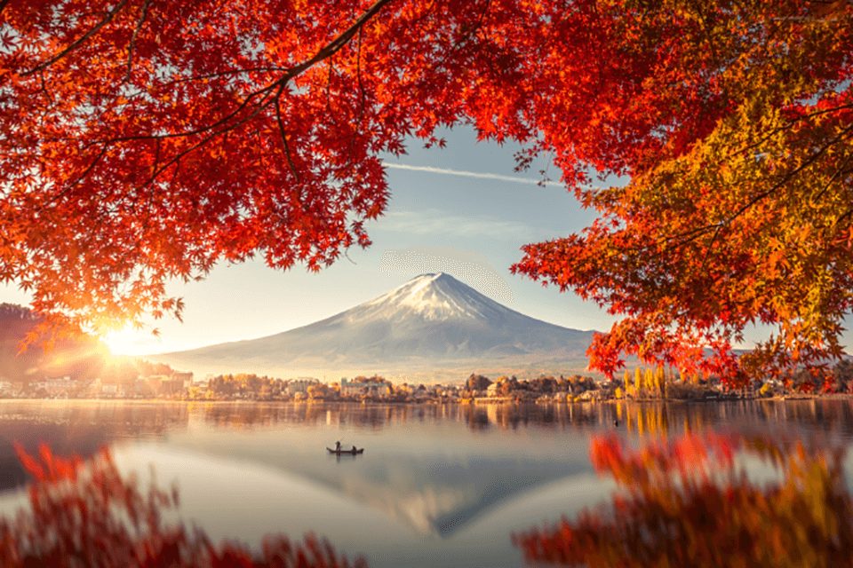 learn Japanese: Fuji with autumn leave