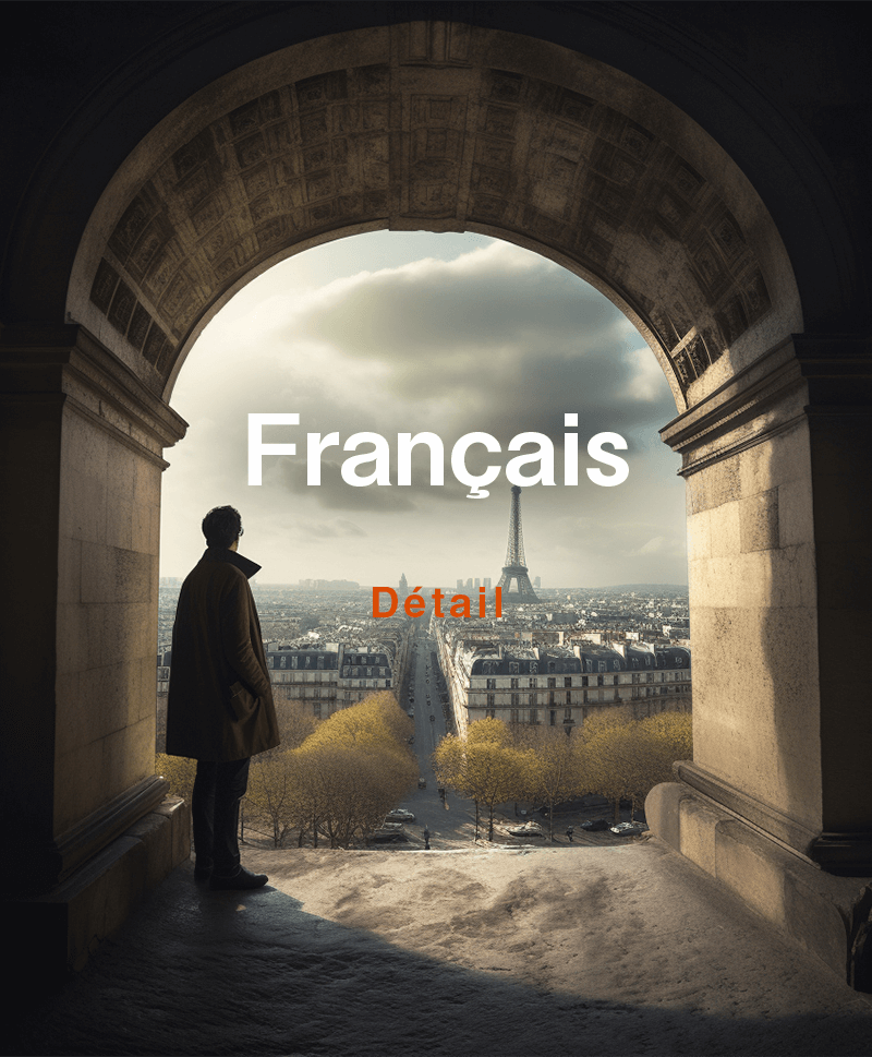 Homme regardant la vue de la Tour Eiffel, France, Cours de langue française Détails