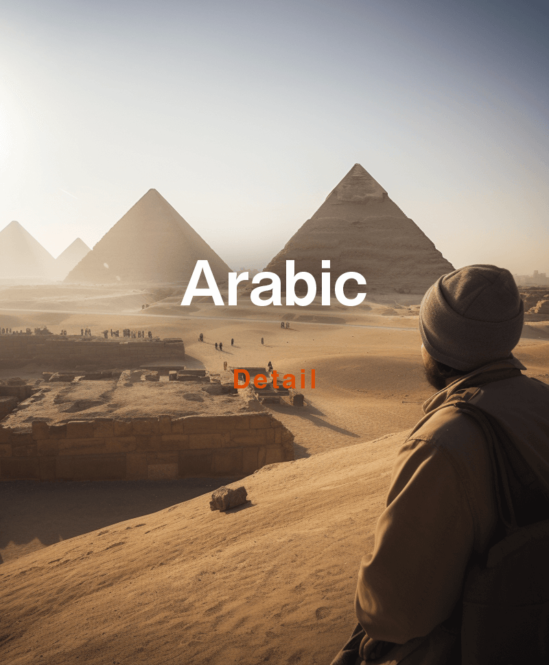 We can communicate with people from Arab countries if we can speak Arabic. With this in mind, this image shows a man gazing at the view of Egypt with its towering pyramids. This image is a link to an information page for learning Arabic online.