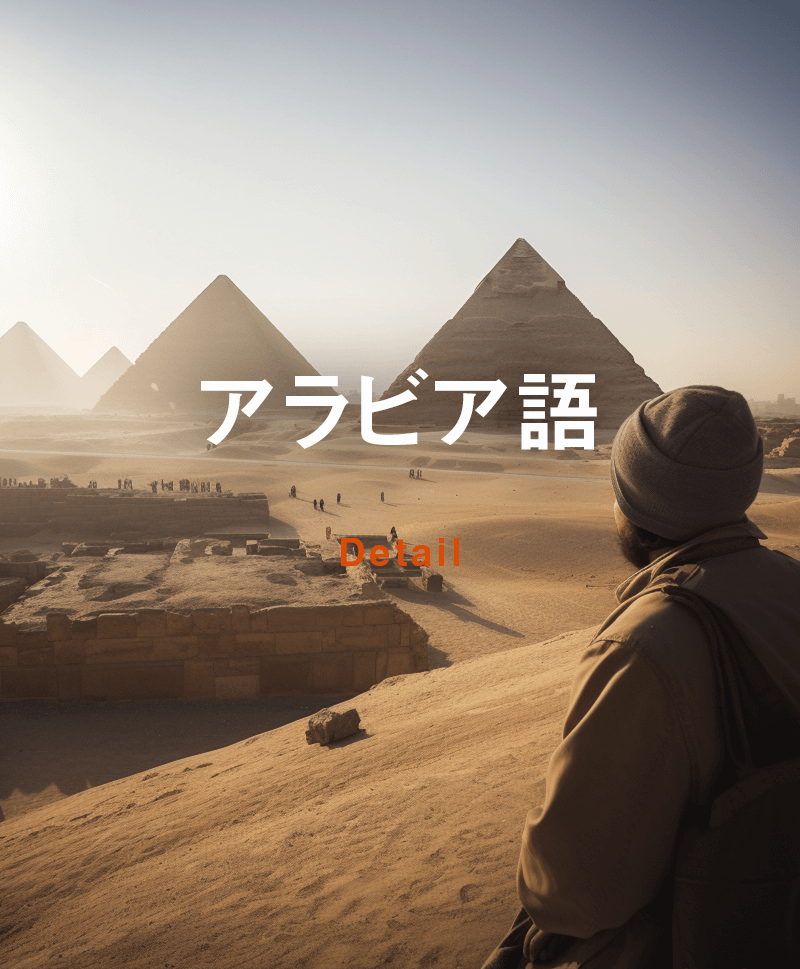 アラビア語が話せればアラビア語圏の人たちとコミュニケーションが取れる。そんな思いから、ピラミッドが見えるエジプトの風景を見ている男性の画像。この画像はオンラインアラビア語コースのための情報ページにリンクしています。