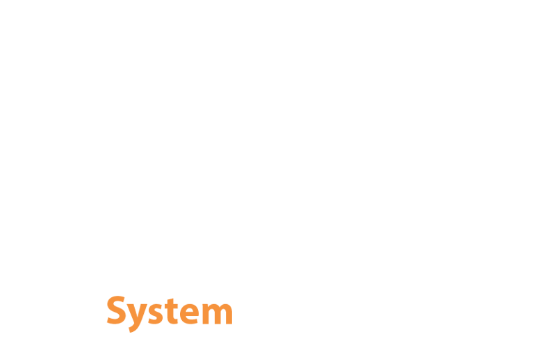 A star representing the five characteristics of We: Program, Methods, System, Coaches, and Concierge, with the word System colored in.